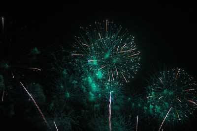 Low angle view of firework display at night