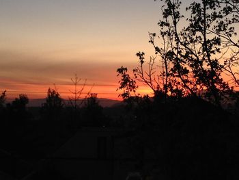 Silhouette trees against sky during sunset