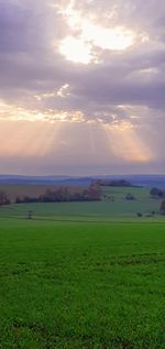 Scenic view of field against sky during sunset
