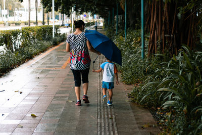Rear view of friends walking on footpath