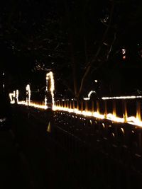 Illuminated street lights by trees in city at night