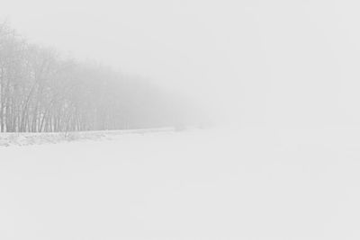 Snow covered land and trees against clear sky