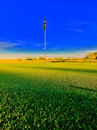 Scenic view of agricultural field against blue sky