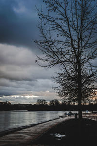 Silhouette bare tree by river against sky in city