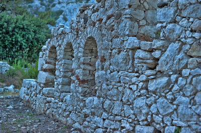 Stone wall and trees on field