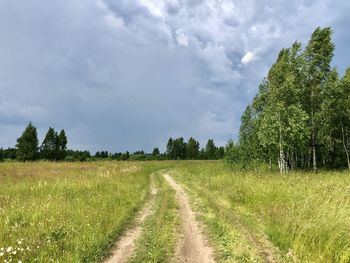 Scenic view of field against sky