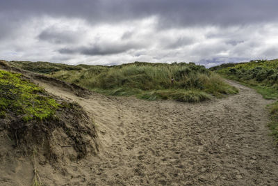 Dunes nature reserve egmond - scenic view of landscape against sky