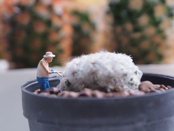 Close-up of toy on potted plant 