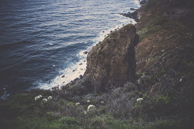 Close-up of water at beach