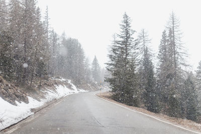 Road amidst trees in forest against sky