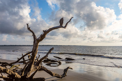 Bird perching on sea against sky