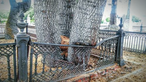 Close-up of chainlink fence