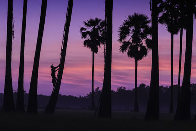 Silhouette palm trees on field against sky at sunset