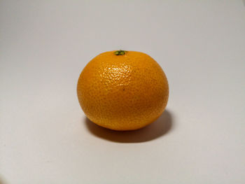 Close-up of orange fruit against white background