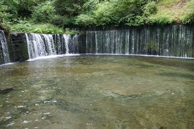 Scenic view of waterfall in forest