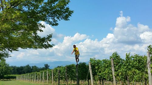 Man standing on wooden post by vineyard against cloudy sky