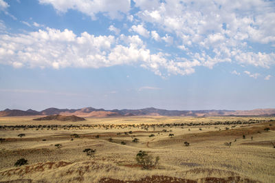 Scenic view of desert against sky