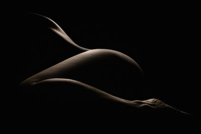 Close-up of woman against black background