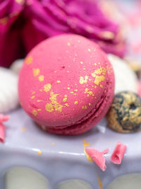 Close-up of dessert in plate