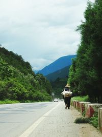 Rear view of man on road amidst trees against sky