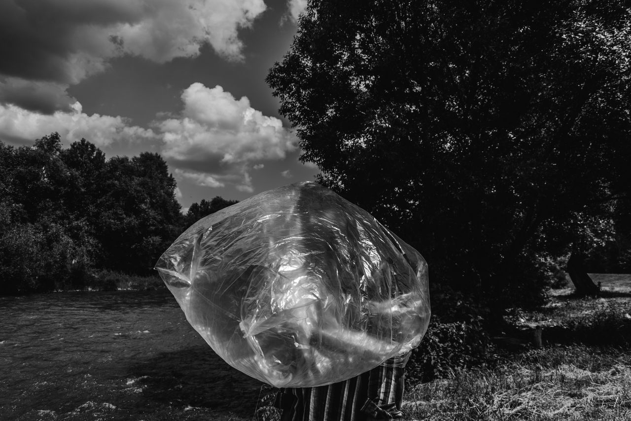 VIEW OF BUBBLES ON LAND