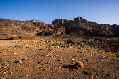 Scenic view of desert against clear sky