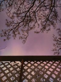 Low angle view of tree against sky