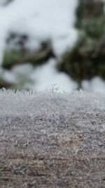 Close-up of frozen water