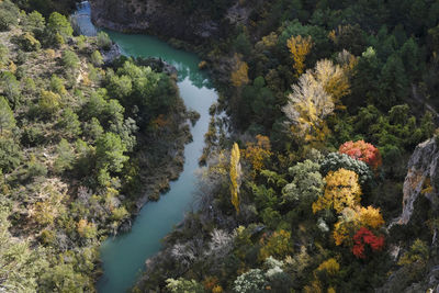 Colorful display of trees during autumn season in spain