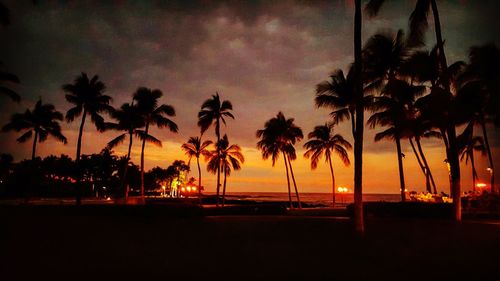 Silhouette palm trees on beach against sky during sunset