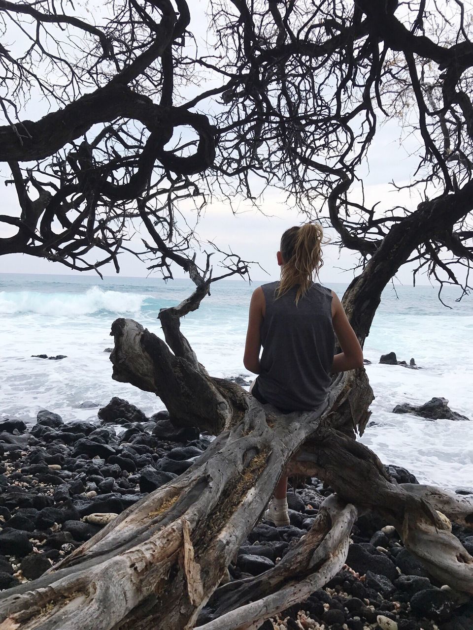 only women, one woman only, sitting, one person, tree, sea, blond hair, adults only, rear view, outdoors, full length, people, nature, women, adult, sky, water, leisure activity, tranquility, one young woman only, day, branch, beach, beautiful woman, horizon over water, young adult, beauty in nature