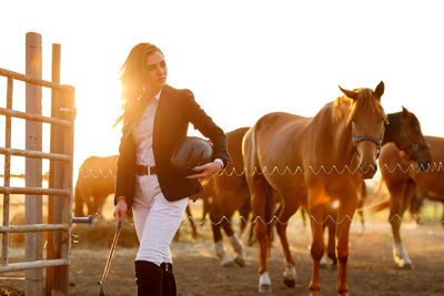 Horses on field