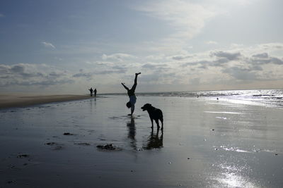 Silhouette girl doing handstand by dog at beach