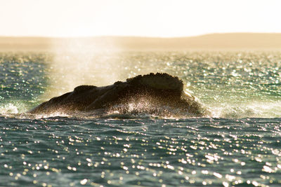 Sea waves splashing in the sky