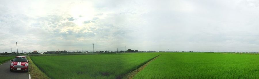 Scenic view of grassy field against cloudy sky