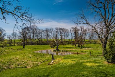 Trees on grassy field against cloudy sky