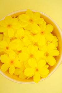 High angle view of yellow flowers in bowl