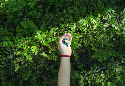 Holding berries in hand