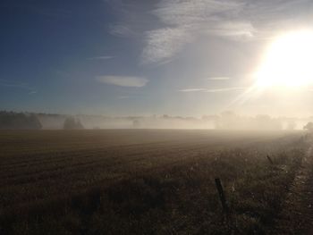 Scenic view of field against bright sun