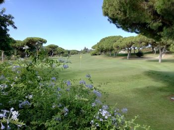 Panoramic view of golf course against clear sky