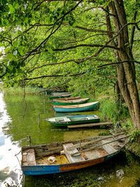 Scenic view of lake and trees