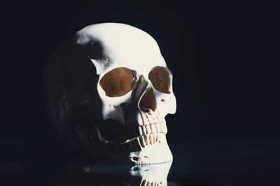 Close-up of human skull against black background