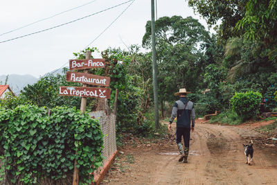 Rear view of man walking on road amidst trees