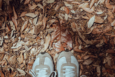 Low section of person standing on tiled floor