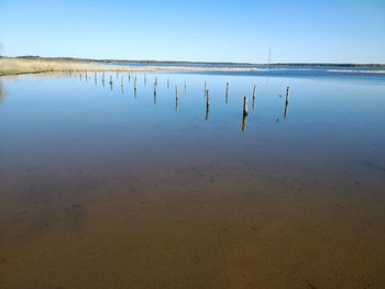 Wooden posts in lake against clear sky