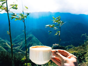 Close-up of hand holding coffee cup by water