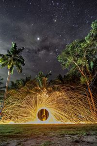 Light trails on illuminated tree against sky at night