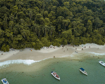 High angle view of trees on beach