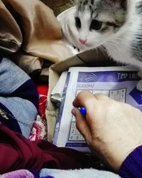 Close-up of hand holding cat sitting on bed