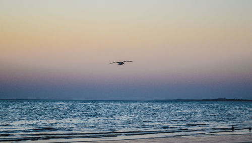 Scenic view of sea at sunset